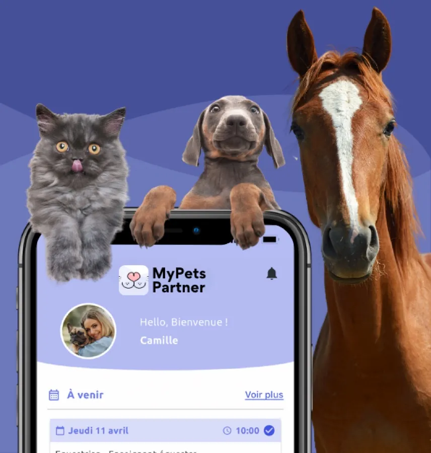 Chat, chien et cheval au-dessus d'un téléphone affichant l'application MyPets Partner