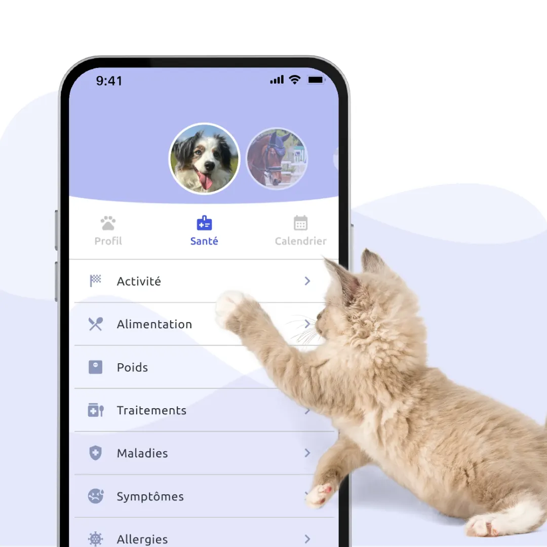 Profil santé d'un animal partagé avec un professionnel dans MyPets Partner